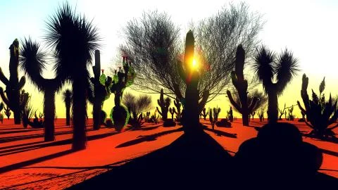 American desert 库存插图