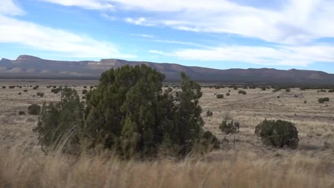 American desert tracking shot Stock Footage 131735833