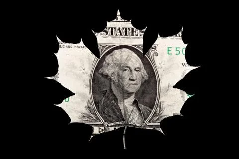 American dollar leaf shape isolated on black background Stock Photos