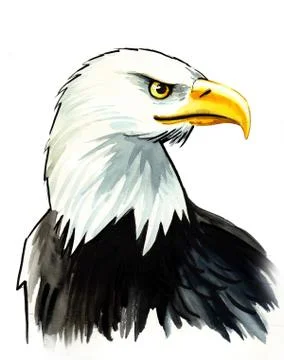 American eagle Stock Illustration