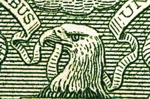 American eagle with one dollar bill at maximum magnification. 1 one Dollar US Stock Illustration
