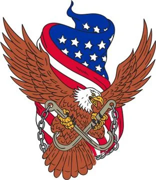 American Eagle Wings USA Flag Drawing Stock Illustration