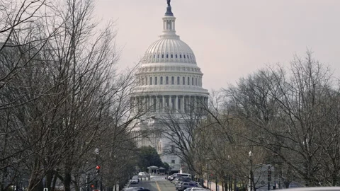 American Eagles and US Flag on Marble Monument Stock Footage 311047986