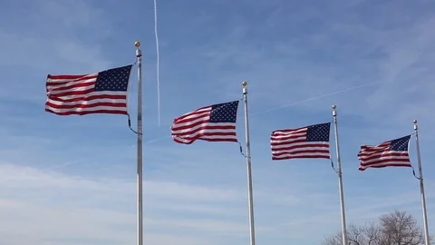 American Fags Stock Footage 107768865