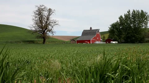 American Farmland Stock Footage 6355674
