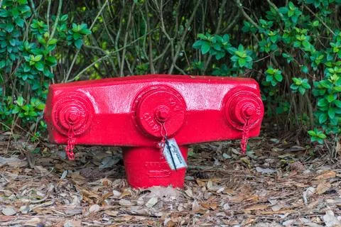 American Fire hydrant Stock Photos