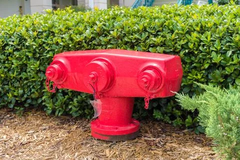 American Fire hydrant Stock Photos