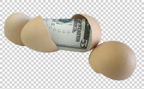 American five dollar bill in broken egg shell isolated on white background. Stock Photos