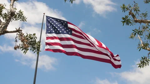 American Flag 4k Stock Footage 133540077