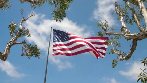 American Flag 4K Stock Footage 133540086