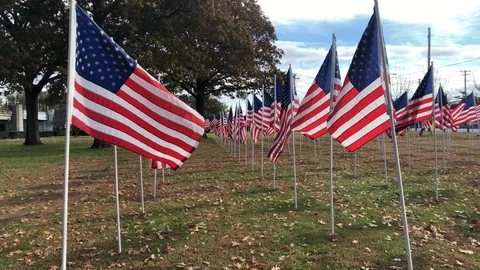 American Flag  5 Stock Footage 97831653