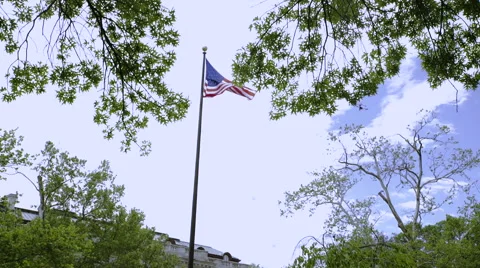 American flag and trees in the foreground Stock Footage 52257896