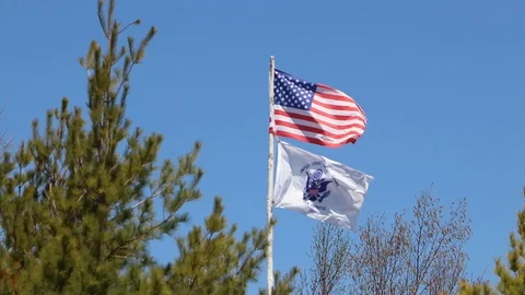 American Flag and U.S. Coast Guard Flag Flying Against Clear Blue Sky Stock Footage 115955668