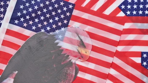 American flag  with bald eagle Stock Footage 297884988