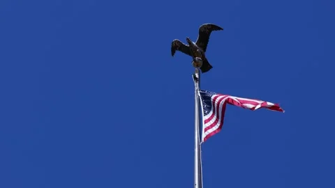 American Flag blowing gently in the breeze against blue sky with American Eagle Stock Footage 337896541