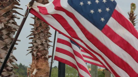 American Flag Blowing with Palm Trees in Background Stock Footage 37248352