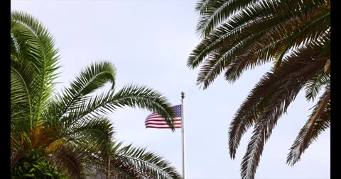 American flag blowing in the wind in the distance surrounded by tropical trees. Stock Footage 287901010