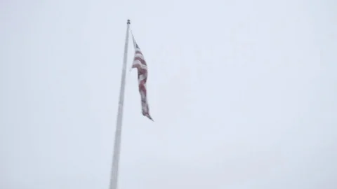 American Flag Blowing in the wind Stock Footage 77659710