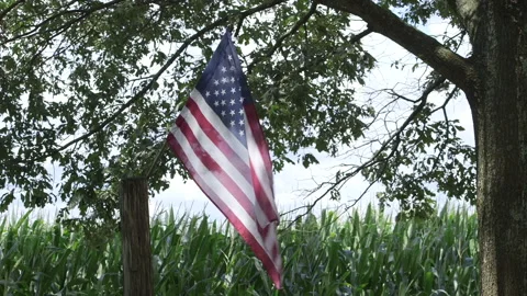 American flag blowing in the wind Stock Footage 137620142