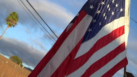 American Flag blowing in the wind with palm tree at sunset Stock Footage 340286286
