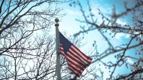 American Flag Blowing In The Wind In Slow Motion Stock Footage 105206386