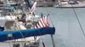 American Flag on Boats In Marina HD Footage