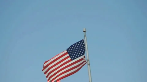 American Flag in Breeze 動画素材 5298603