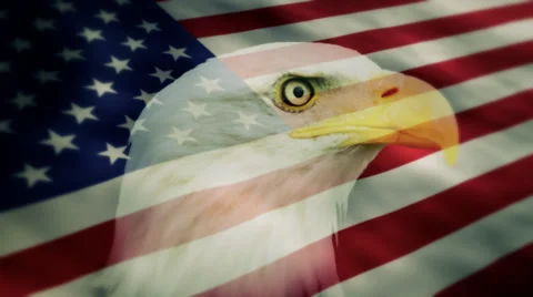 American Flag with an Eagle Head Stock Footage 34730612