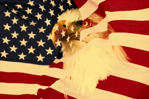 American flag with eagle Foto stock