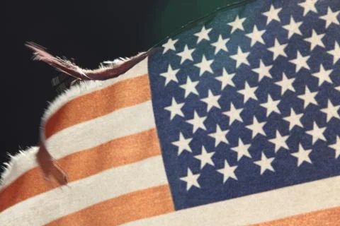 American flag in evening Stock Photos