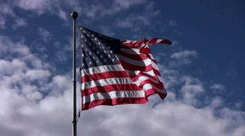 American Flag Flapping in Wind 動画素材 559830