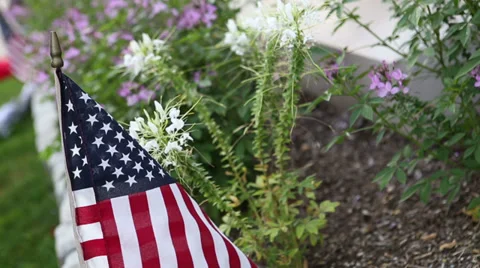 American flag with flowers Stock Footage 27619826