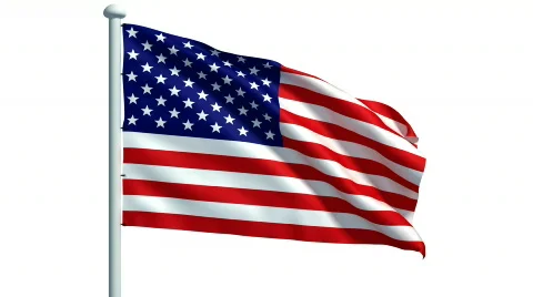 American flag Stock Footage 441859