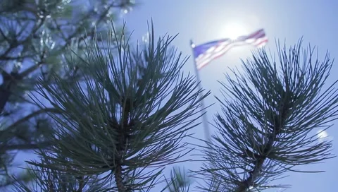 American Flag Stock Footage 5883453
