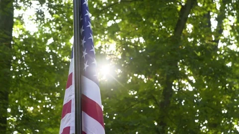 American Flag 스톡 동영상 81620684