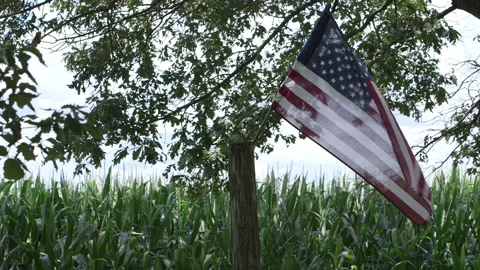 American flag Stock Footage 137620144