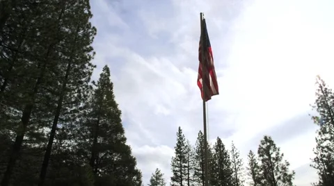 American Flag Forest Timelapse Stock Footage 46696523