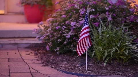 American flag in garden Stock Footage 76127834