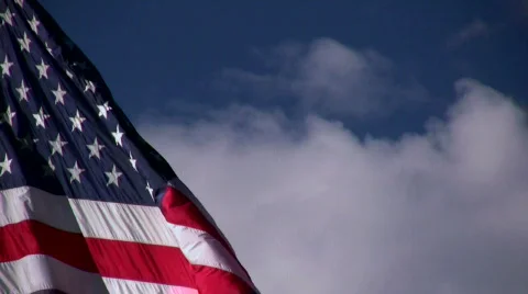 American Flag Getting Wind 動画素材 559823