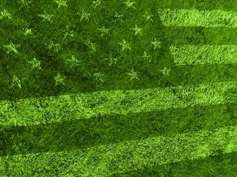 American flag grass Stock Illustration