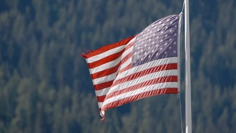 American Flag on green background. Medium shot Stock Footage 106023191