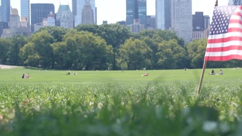 American flag on green grass in Central Park, New York, USA. Meadow, Manhattan 库存影片 332190046