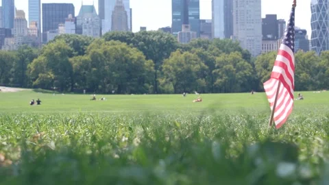 American flag on green grass in Central Park, New York, USA. Meadow, Manhattan Stock Footage 332693523