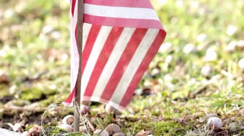 American flag in ground nature background 스톡 동영상 10580091