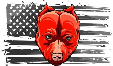American flag with head of dog vector illustration Stock Illustration