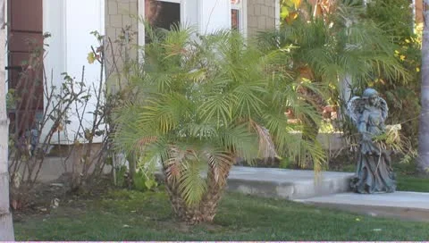 American Flag On House Stock Footage 10769353