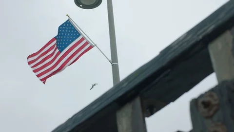 American flag moving in the wind 1 Stock Footage 106629434
