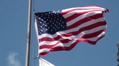 American flag-NTSC 動画素材 5872943
