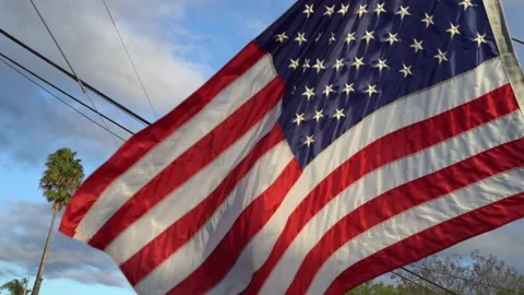 American Flag with Palm Tree blowing in the wind Stock Footage 340286211
