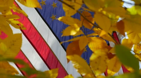 American flag peaking through fall foliage Stock Footage 57397386